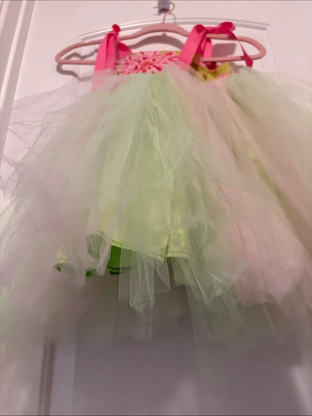 Pink & Light Green Tulle Floral Bodice Kids Costume Dress